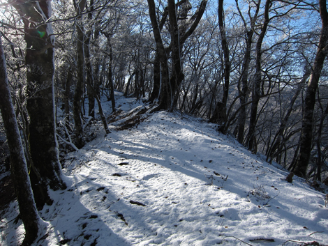 20191129hike (427)